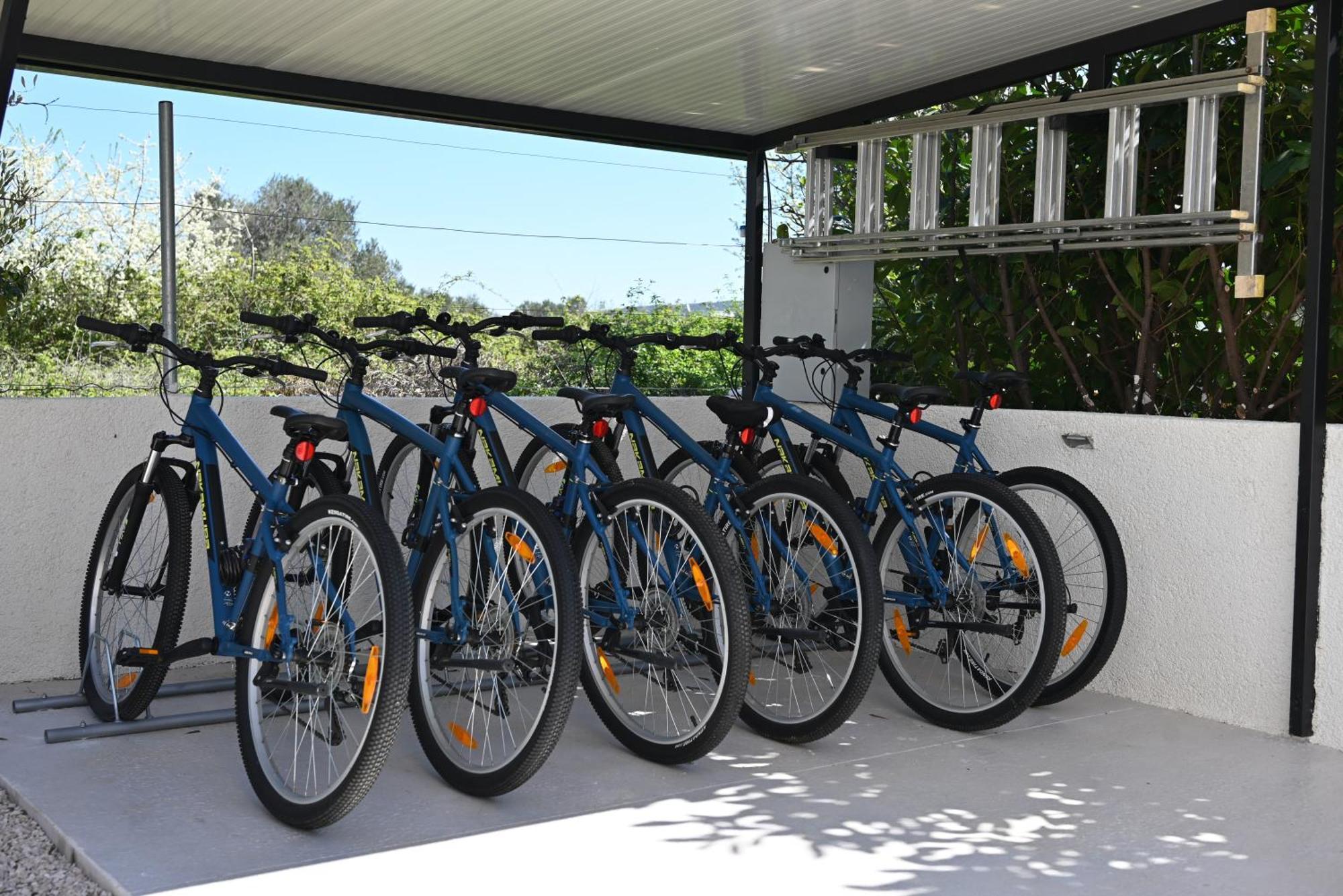 Villa Suncica With Heated Pool, Jacuzzi And Bikes Near Zadar Sukošan Exterior foto